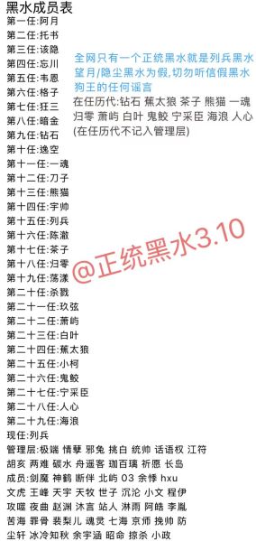 文件:Mmexport1741967789527.jpg