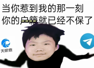 暴走P图-2025-0321-175503.png