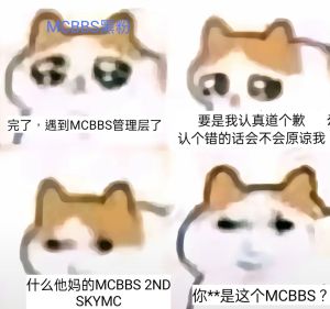 SKYMC底层论坛.jpg