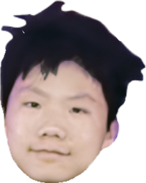 杨阳老版大头.png